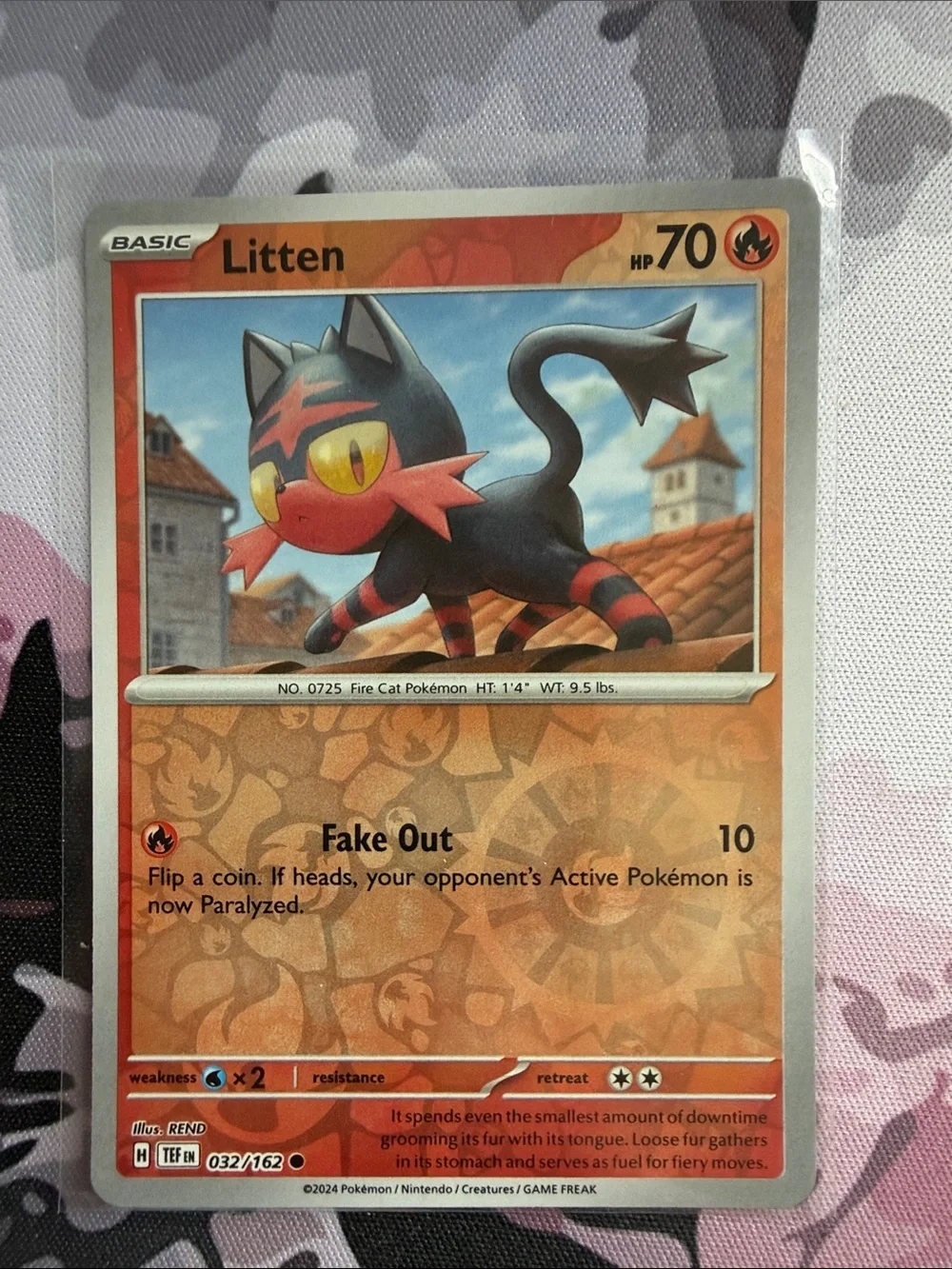 Litten & Torracat Pokémon Evolution Reverse Holo Card Lot 🔥| 2 Cards ✨5/$25✨